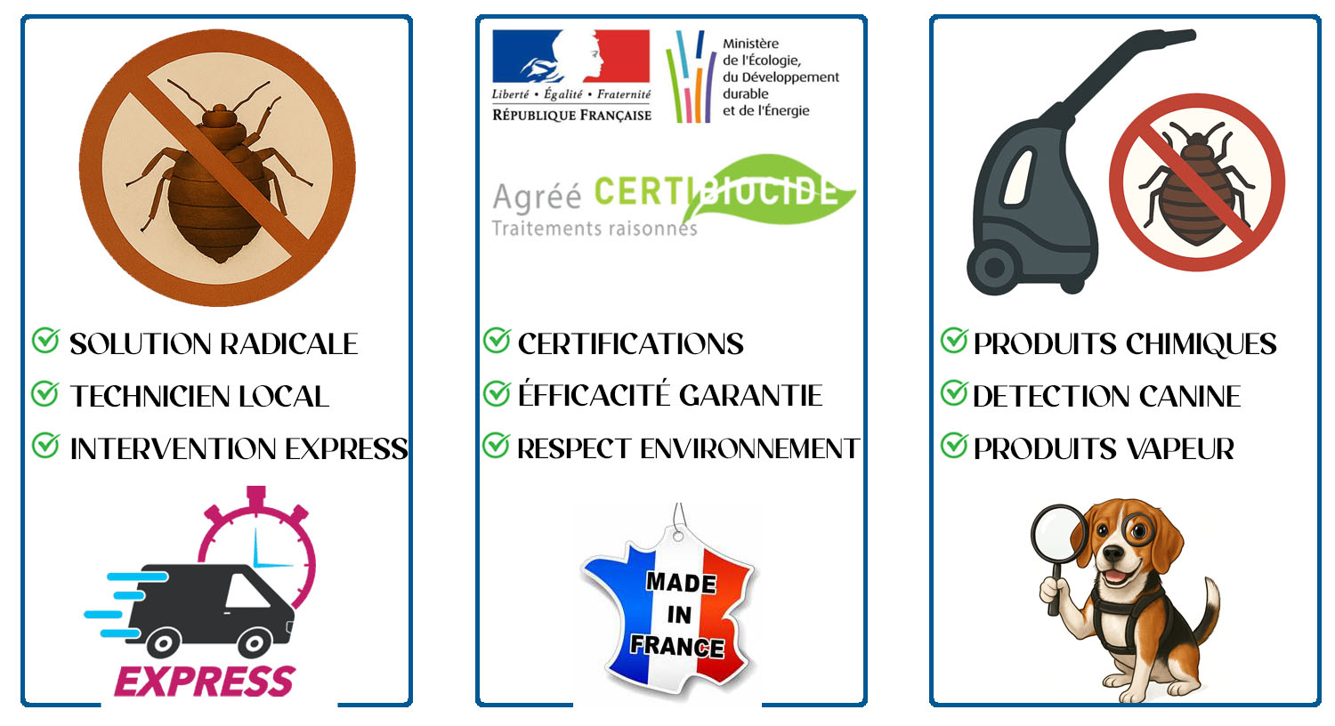 Punaises de Lit Creteil